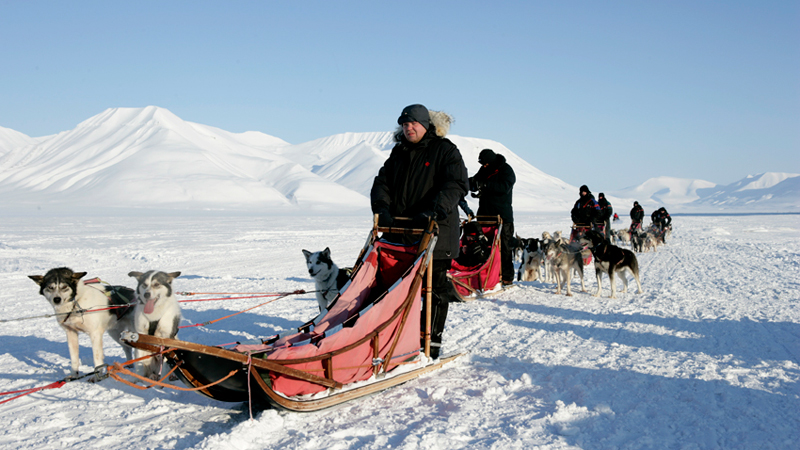Hundspannsäventyr på Svalbard, 3 dagar (7000)